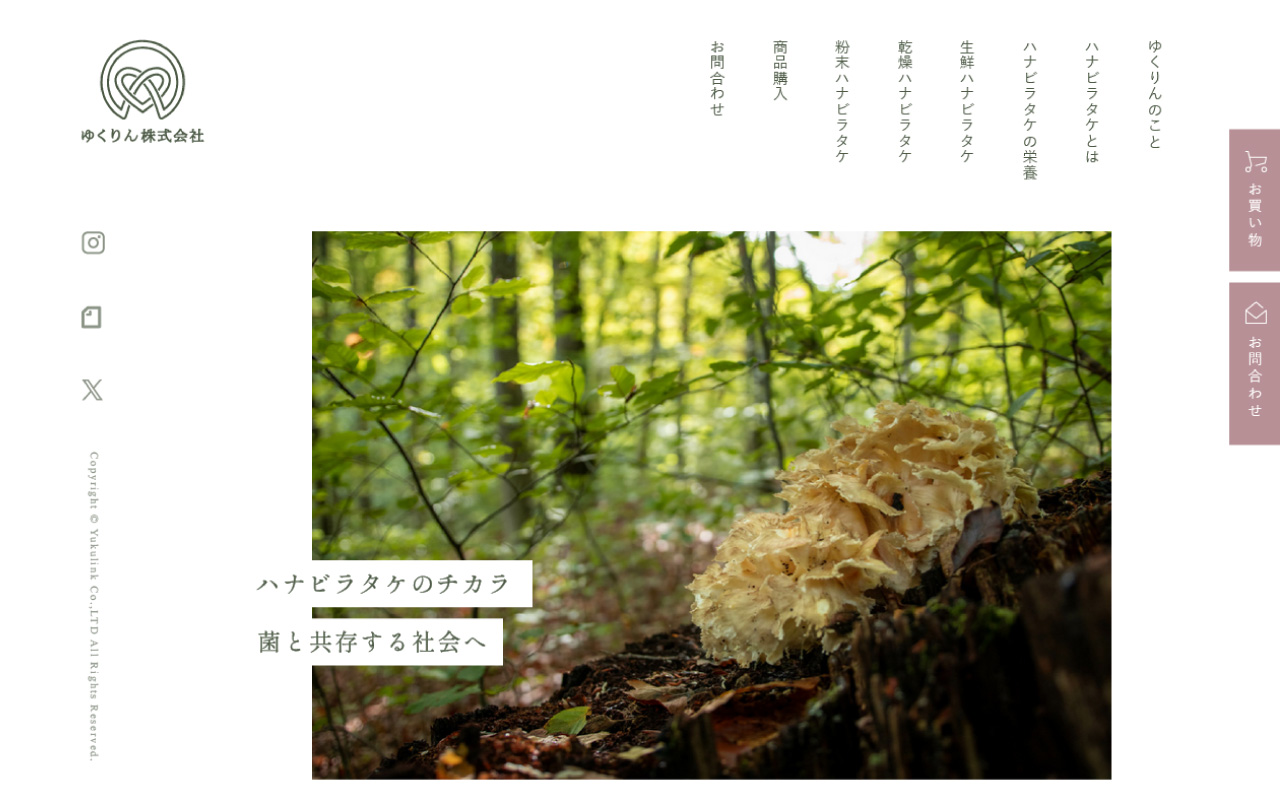 ハナビラタケ販売 ゆくりん株式会社